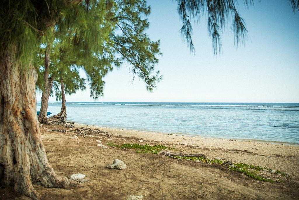 Appartement Le Blue Baie Saint-Paul المظهر الخارجي الصورة